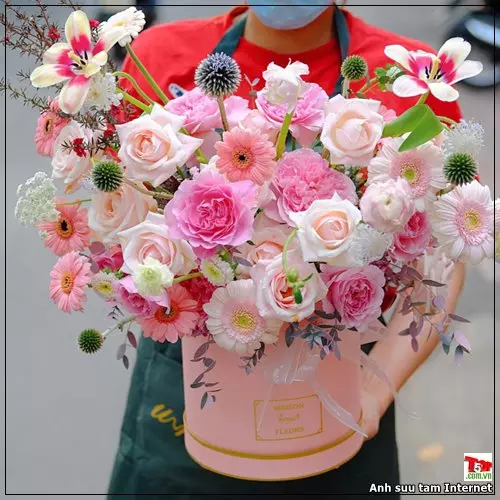 Shop hoa tươi đẹp Quảng Trị