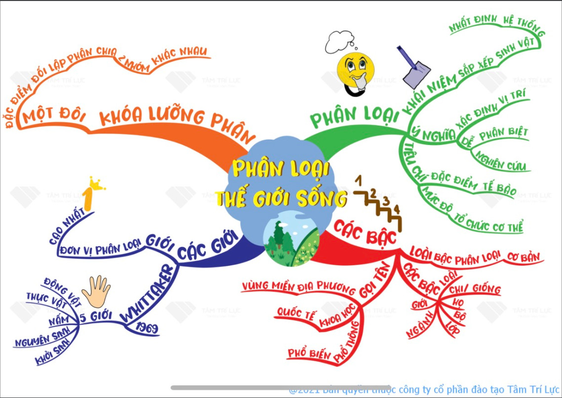 Cách Vẽ Sơ Đồ Tư Duy Đẹp