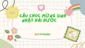 Lời Chúc Sinh Nhật Sếp Hài Hước